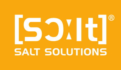 SALT Solutions AG Logo